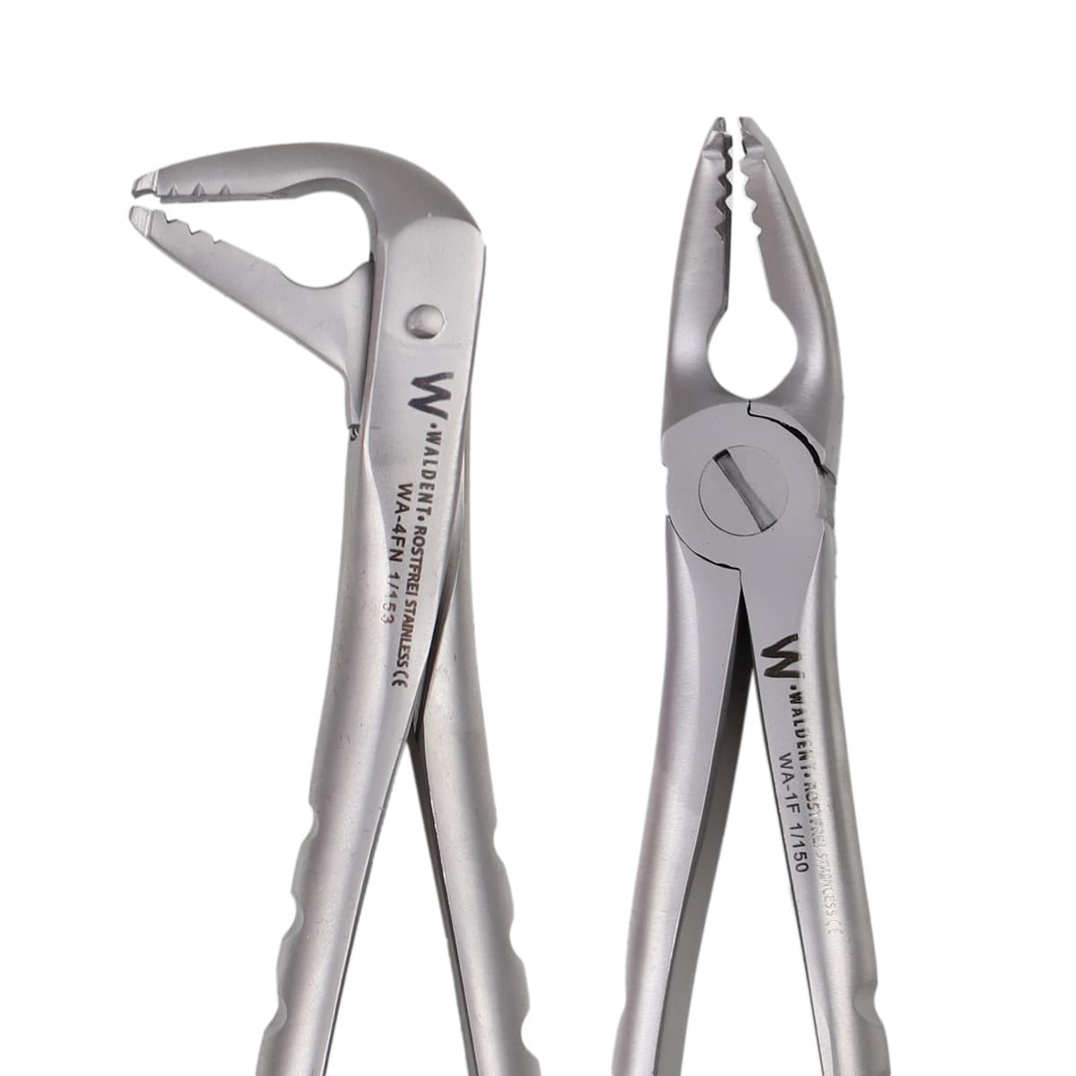 Waldent Atraumatic Extraction Instruments Forceps Kit Set of 6 - Coarse Serrations K1/5 - Image 3