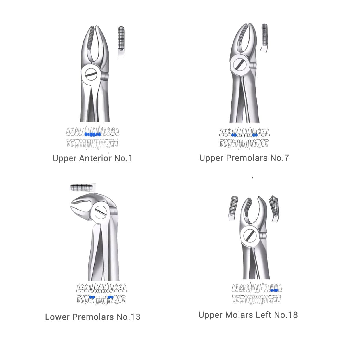 Waldent Extraction Forceps Kit Set of 12 (K1/1) - Image 4