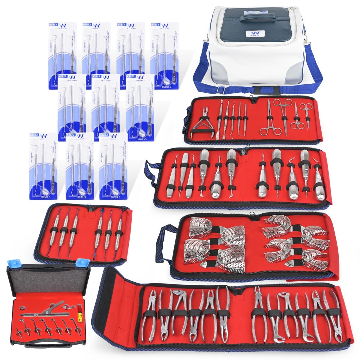 Waldent New Dental Clinic Setup Kit - Image 2