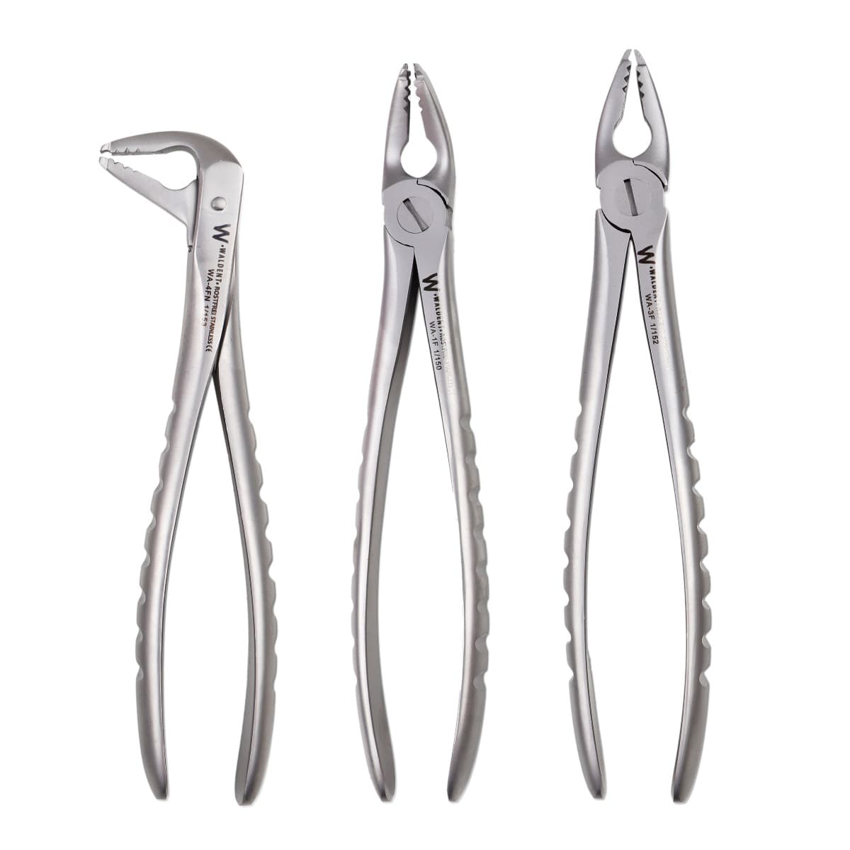 Waldent Atraumatic Extraction Instruments Forceps Kit Set of 6 - Coarse Serrations K1/5 - Image 2