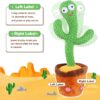 Dancing Cactus Toy 1