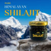 Pure Himalayan Shilajit resin (20gm): boost energy, Stamina, immunity, and Wellness. Authentic, potent, and lab-tested. Shop best shilajit at Snap Shop Hub!