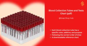 Color-coded blood collection tubes with labels showing additives and common lab tests for each type – includes red, blue, green, purple, gray, and yellow tubes.