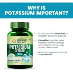 Himalayan Organics Potassium Citrate 800mg Supplement