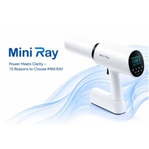 Mini Ray