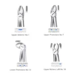Waldent Extraction Forceps Kit Set of 12